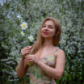 SwankyHaul image